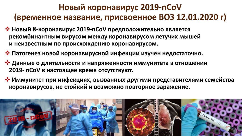 Новый коронавирус 2019-nCoV (временное название, присвоенное ВОЗ 12.01.2020 г)