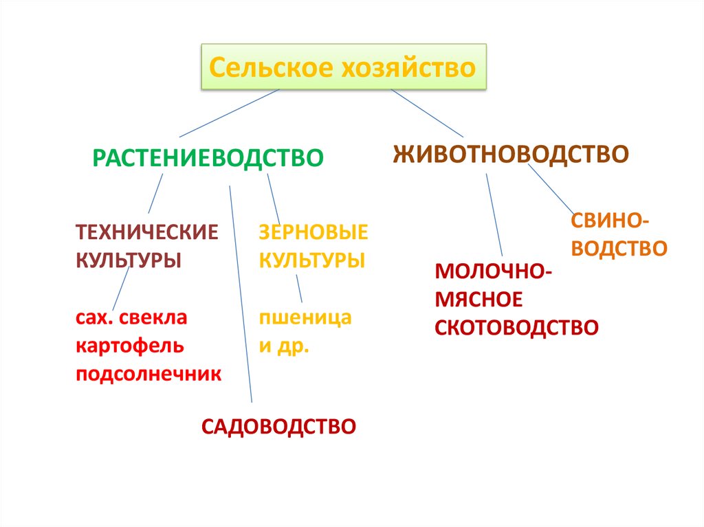 Заполните схему растениеводство животноводство