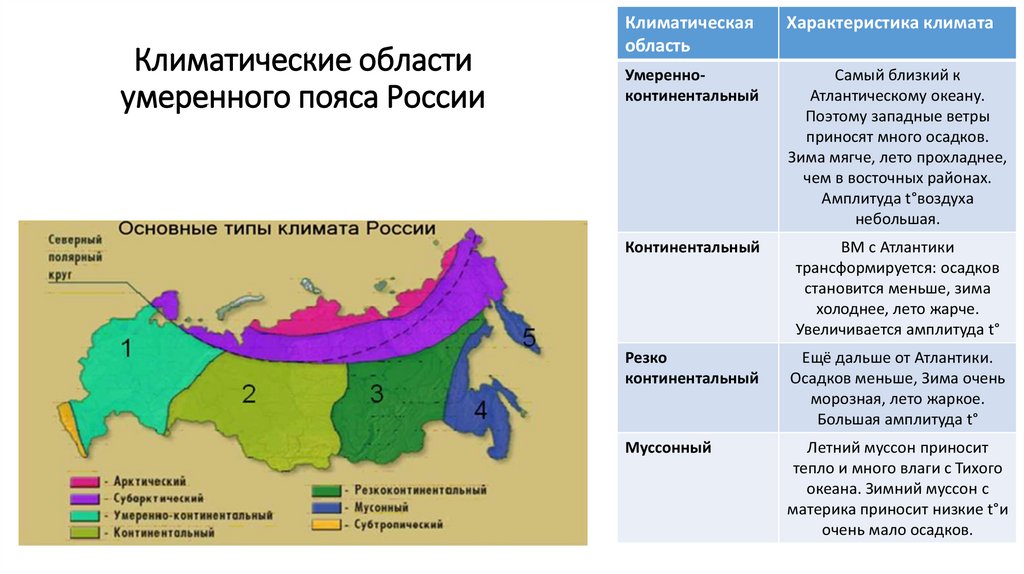 Тип местности по условиям увлажнения карта