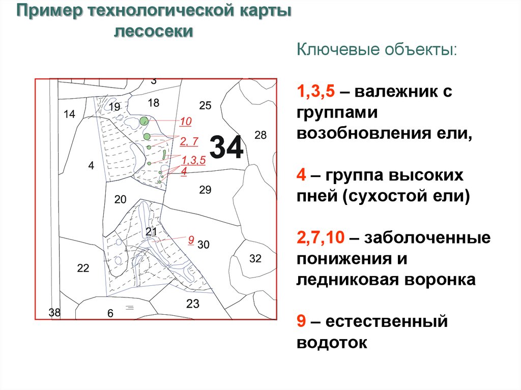 Отвод лесосек аттестация