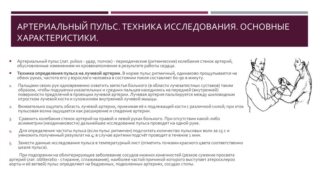 Картина пульс какой метод. Исследование артериального пульса пальпаторным методом. Основные характеристики артериального пульса артериальный пульс. Оценка артериального пульса в клинической практике. Технология исследования пульса на лучевой артерии.