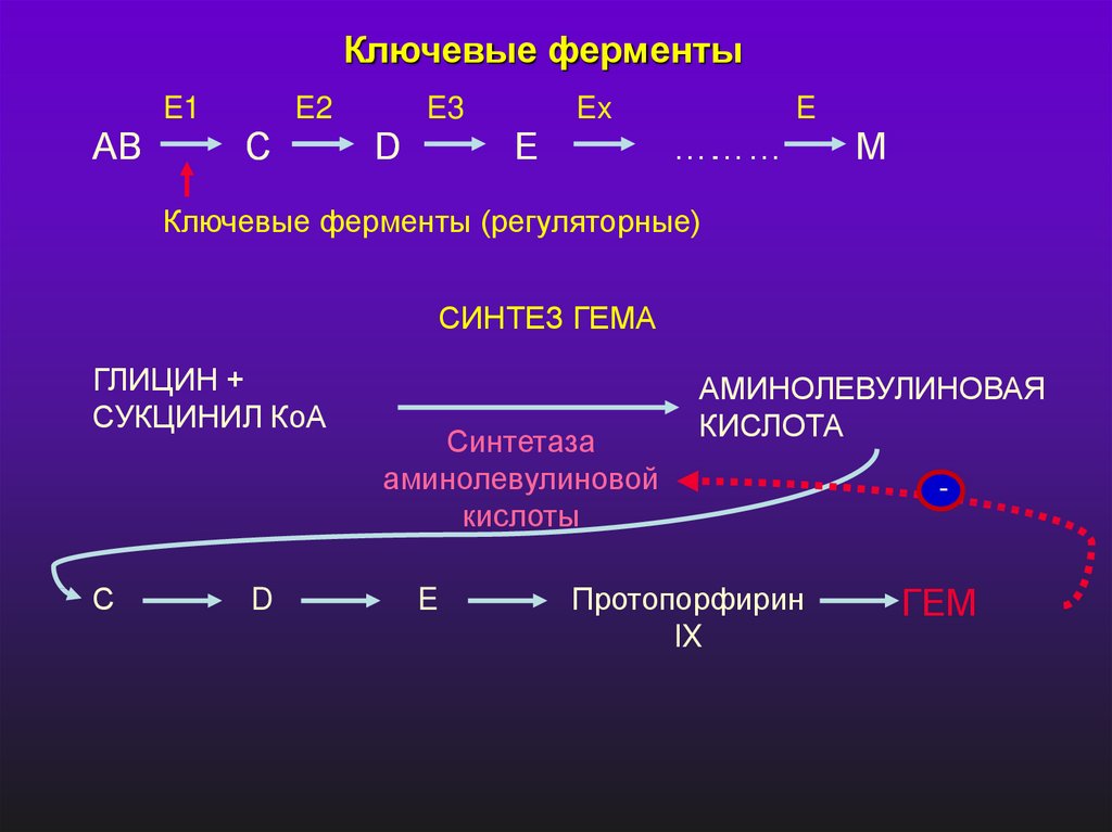 Ферменты необходимы для синтеза. Ключевые ферменты. Нерегуляторные ферменты. Ключевые ферменты биохимия. Регуляция активности ферментов.