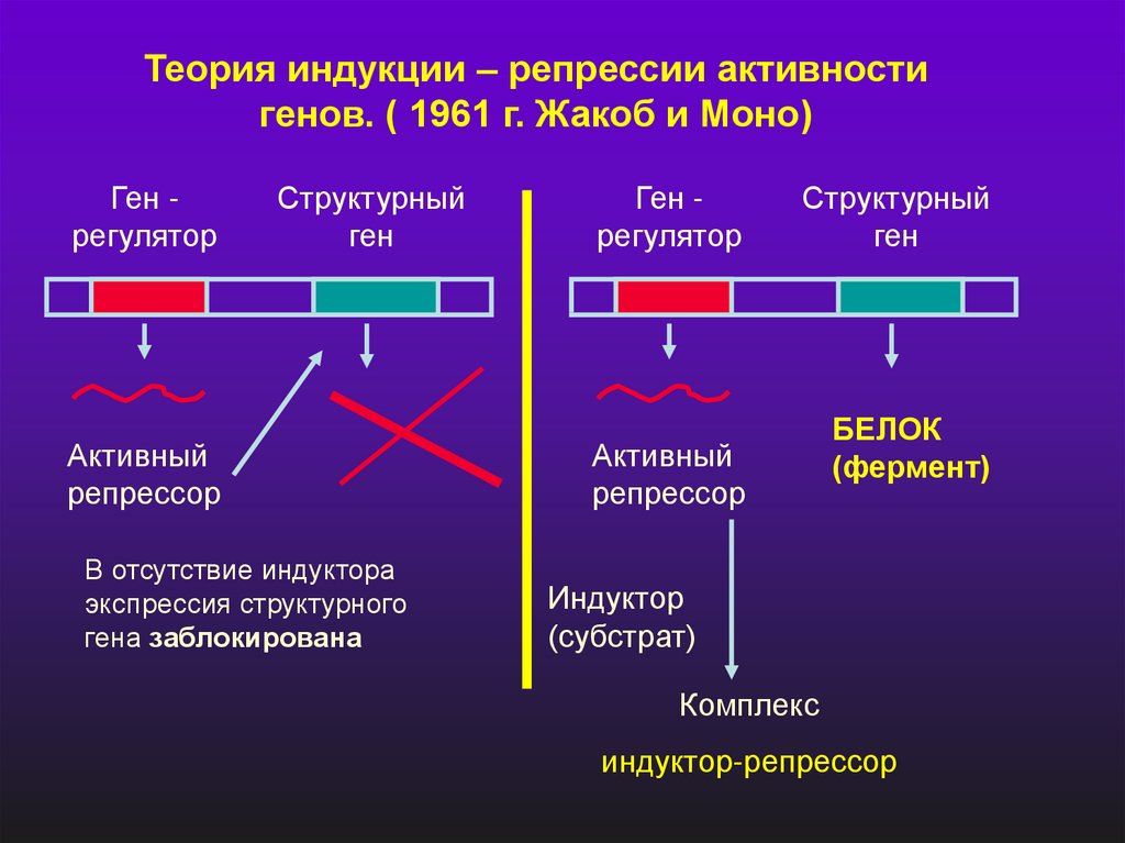 Регуляция биосинтеза белков у прокариот. Регуляция активности ферментов схемы. Механизмы регуляции активности ферментов. Схема регуляции генной активности прокариот. Схема регуляция оперона по типу индукции и репрессии.