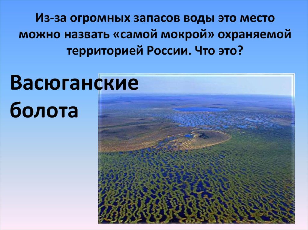 Из-за огромных запасов воды это место можно назвать «самой мокрой» охраняемой территорией России. Что это?