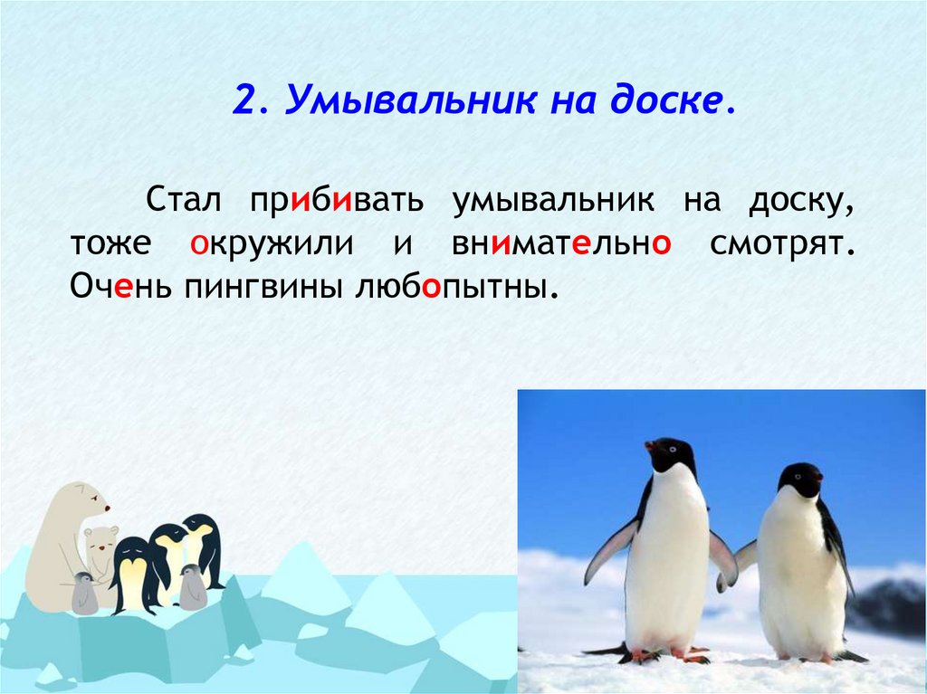 Среди пингвинов есть и драчуны найти глагол. Любопытные пингвины изложение. Изложение любопытные. Изложение на тему любопытные пингвины. Любопытный Пингвин.