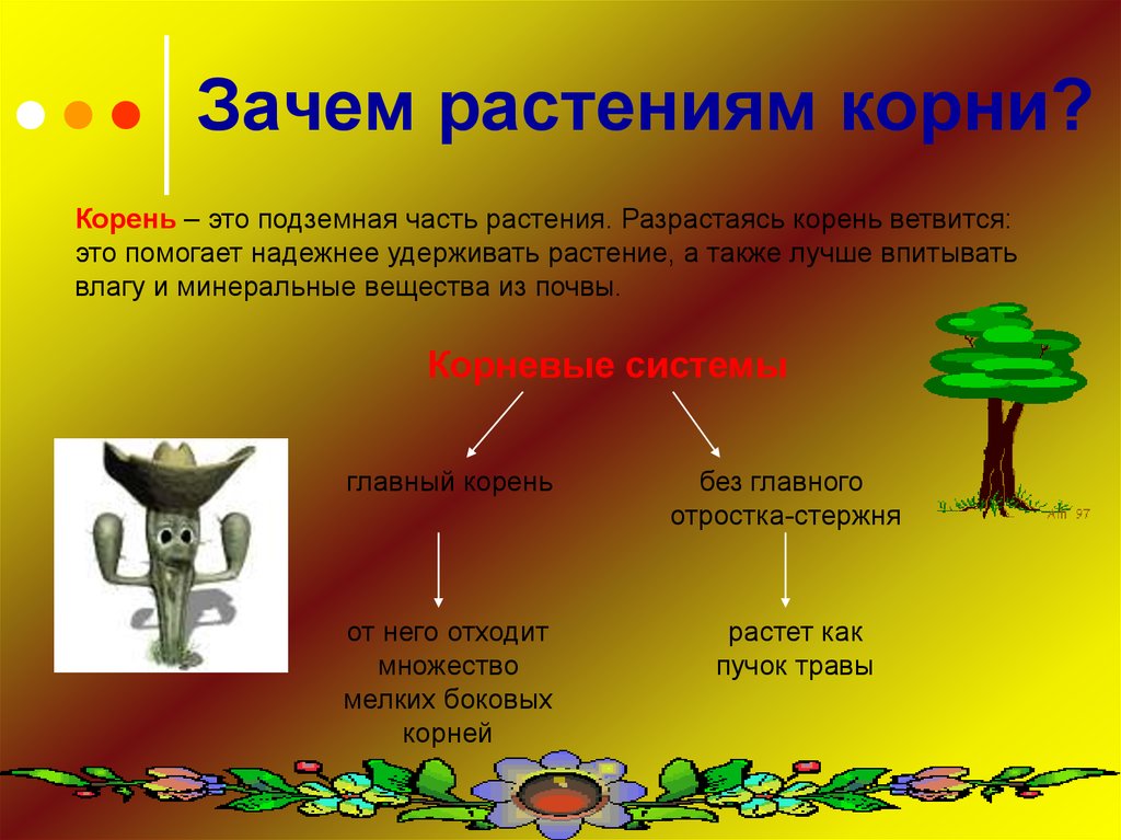 Зачем растениям