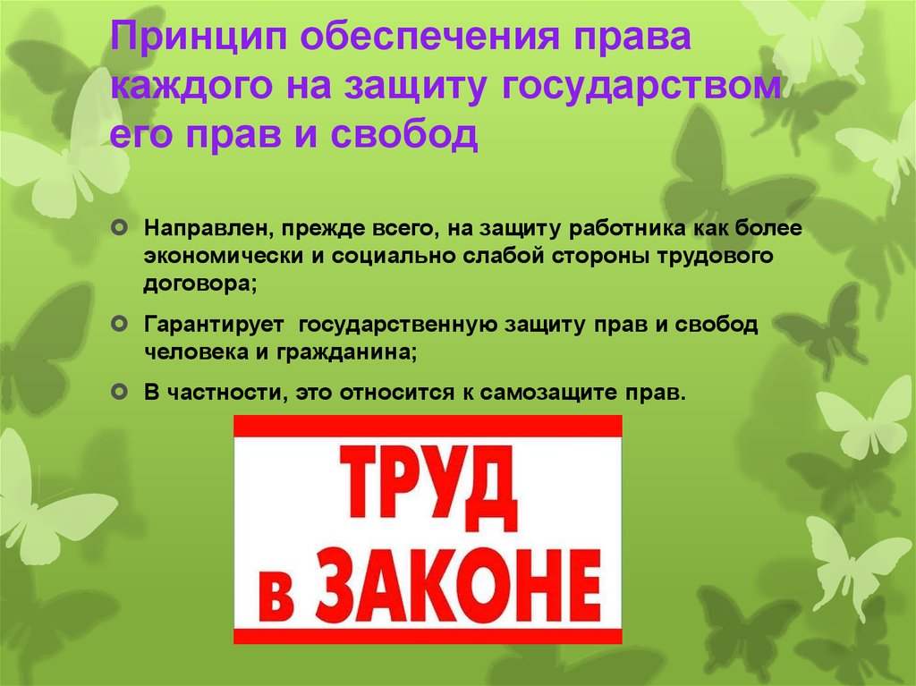 Что обеспечивает право. Принцип обеспечения права на защиту. Обеспечение права каждого на защиту государством его трудовых прав. Принцип обеспечение права каждого на защиту государством. Принцип обеспечения каждому права на судебную защиту.