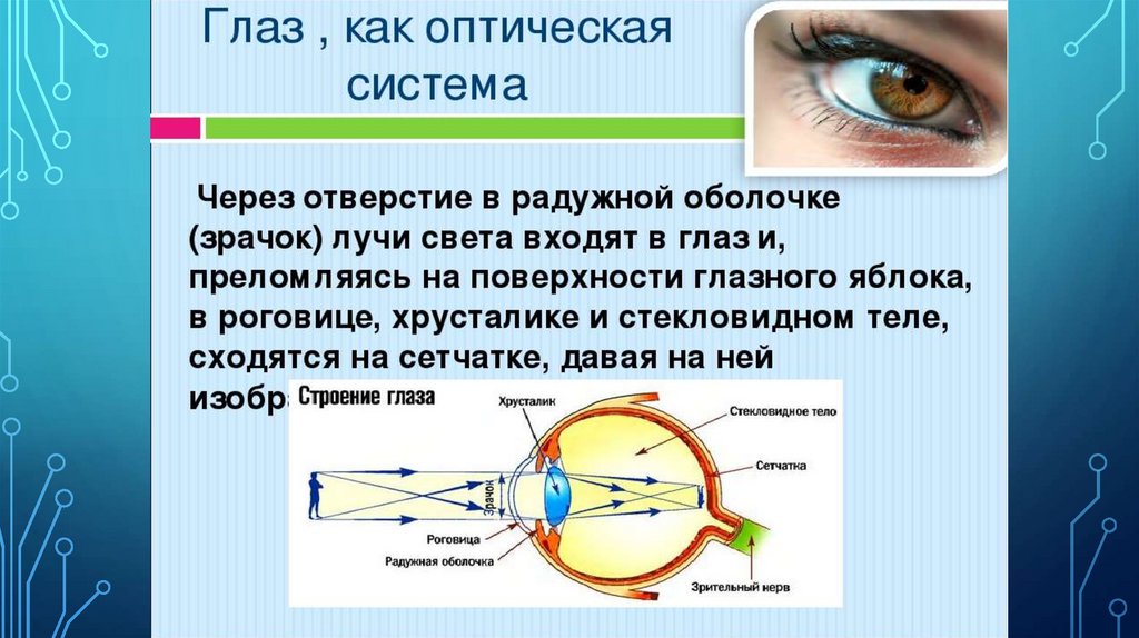 Где происходит фокусировка изображения