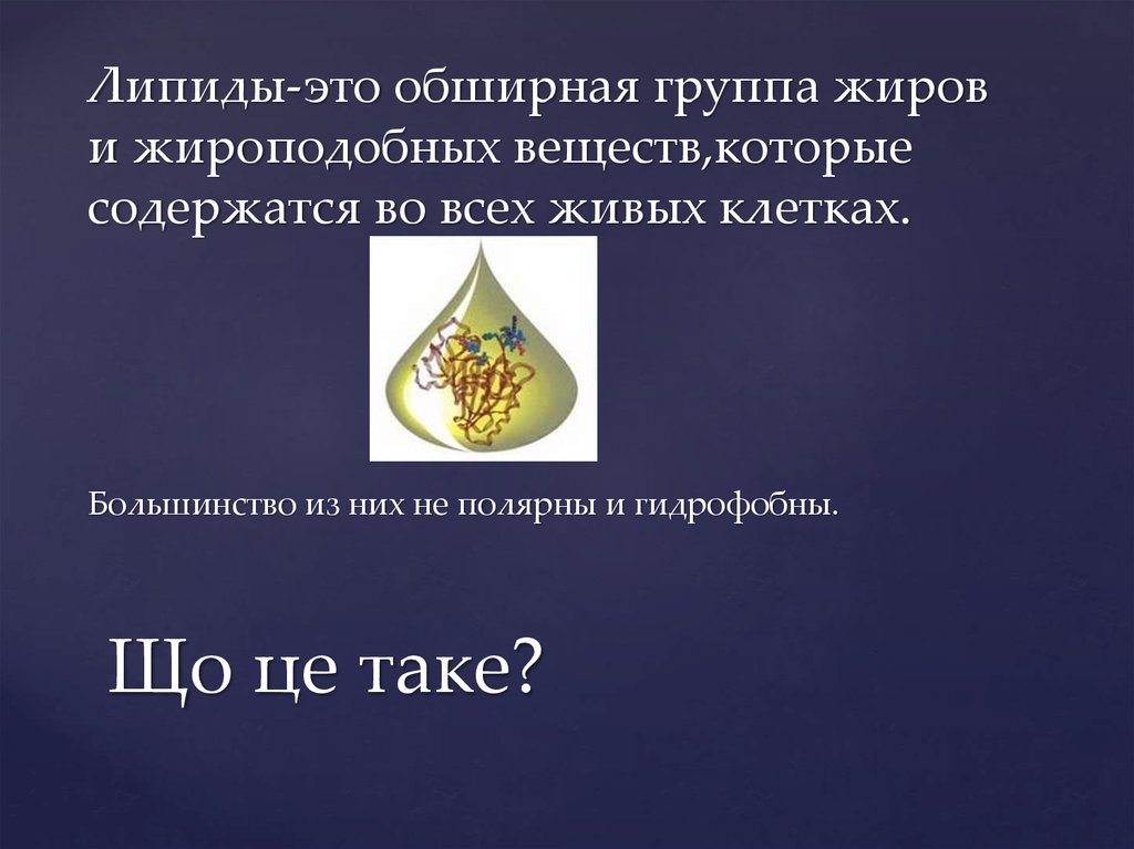 Що це таке?