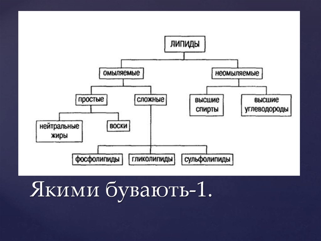 Липиды бывают. Классификация липидов схема. Классификация липидов простые и сложные. Классификация липидов биохимия. Классификация липидов омыляемые и неомыляемые.