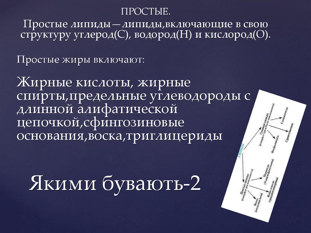 Якими бувають-2