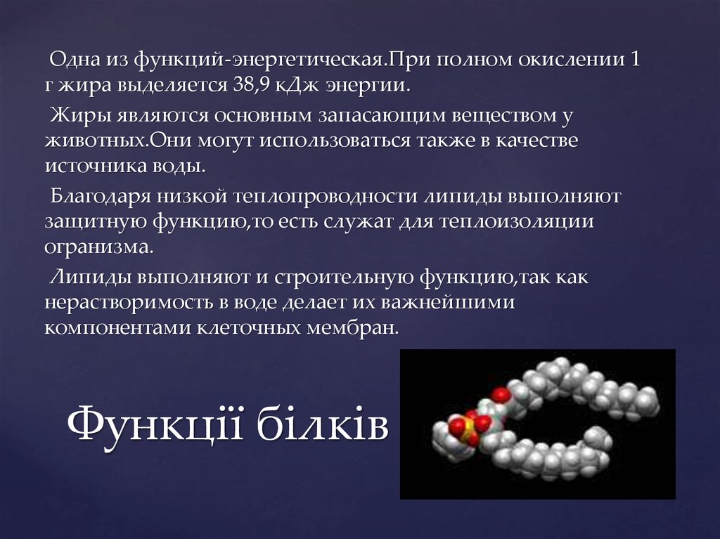 Функції білків