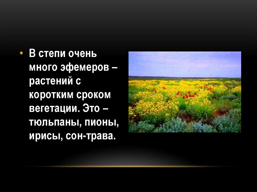 География 8 класс презентация южные безлесные зоны