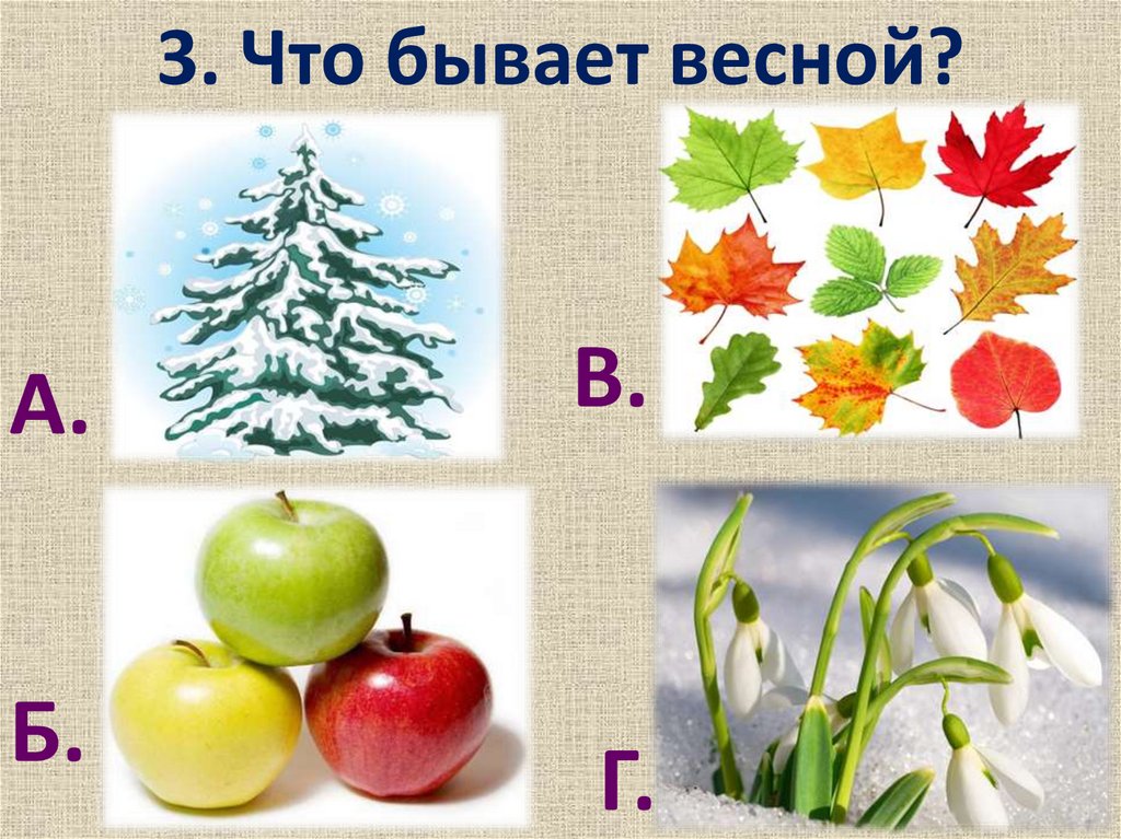 Что бывает маленьким. Что не бывает весной. Что бывает весной. Что бывает и не бывает весной. Что бывает Весенняя.