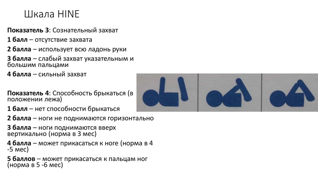 1 1 1 3 показатель. Шкале оценки двигательной функции mfm-32.