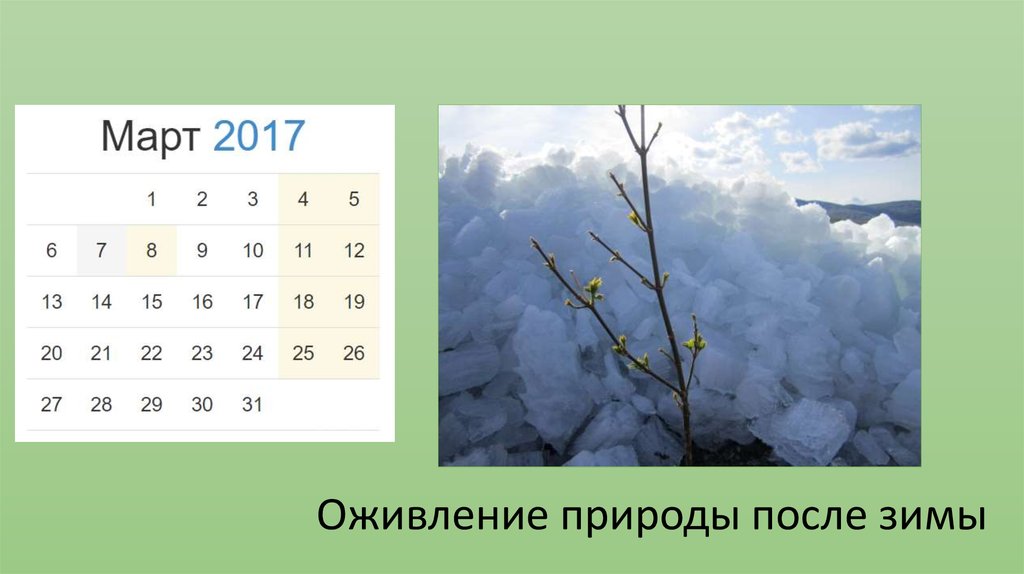 Оживление природы после зимы