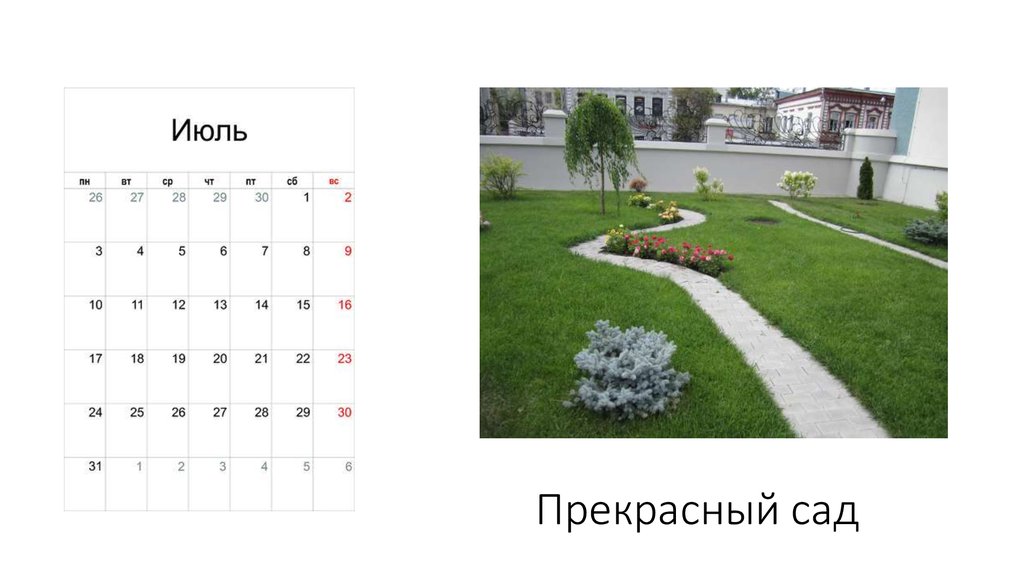 Прекрасный сад