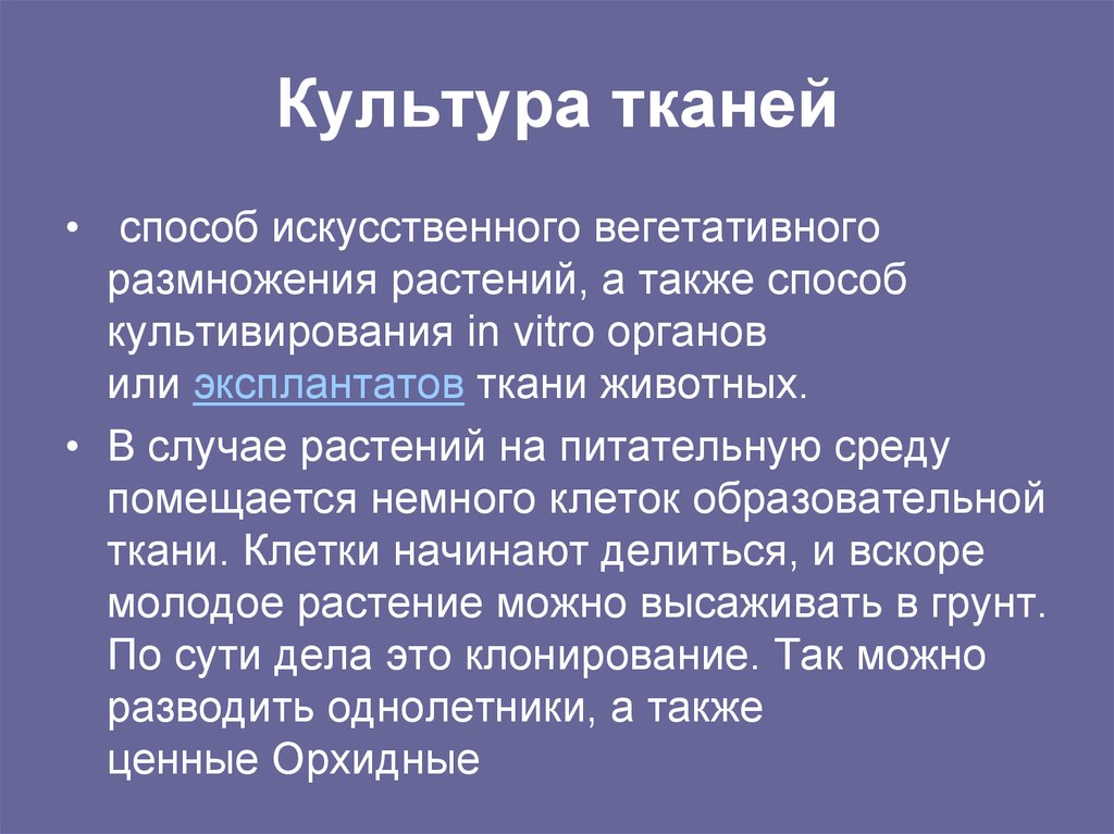 Культура тканей