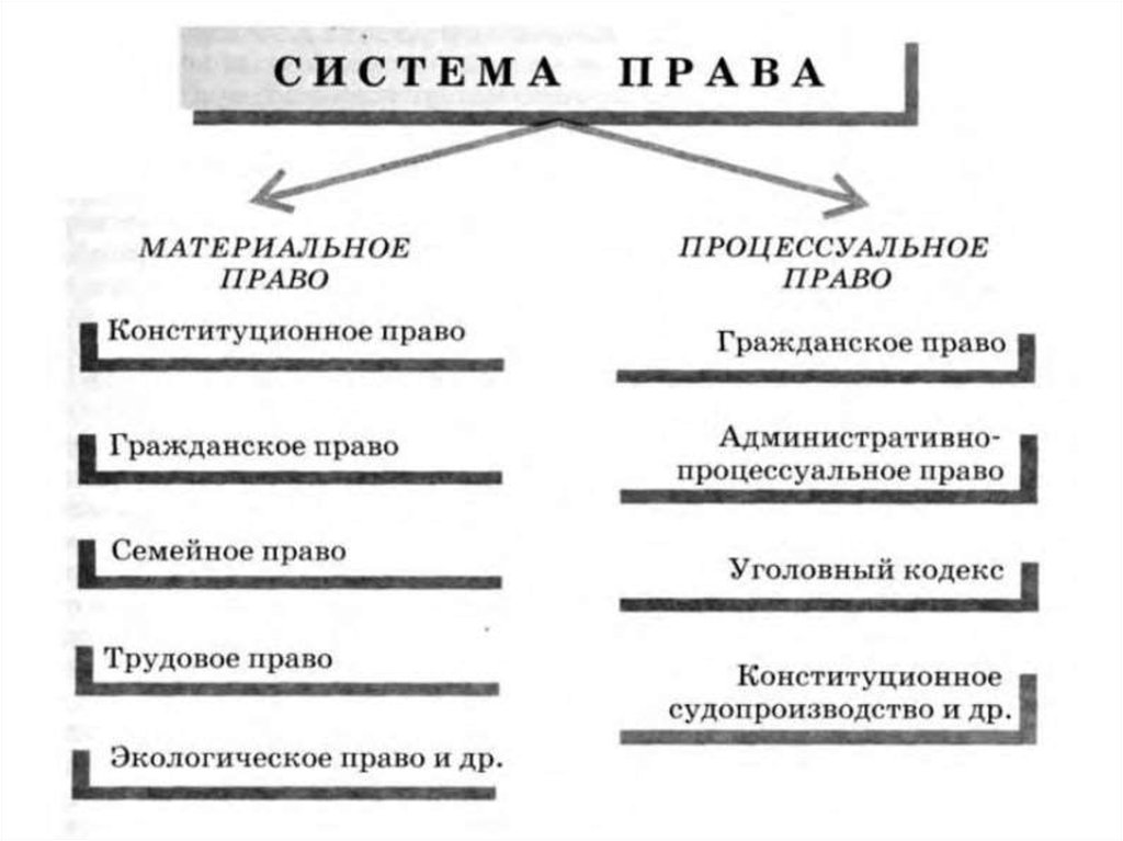 Процессуальные отрасли права схема