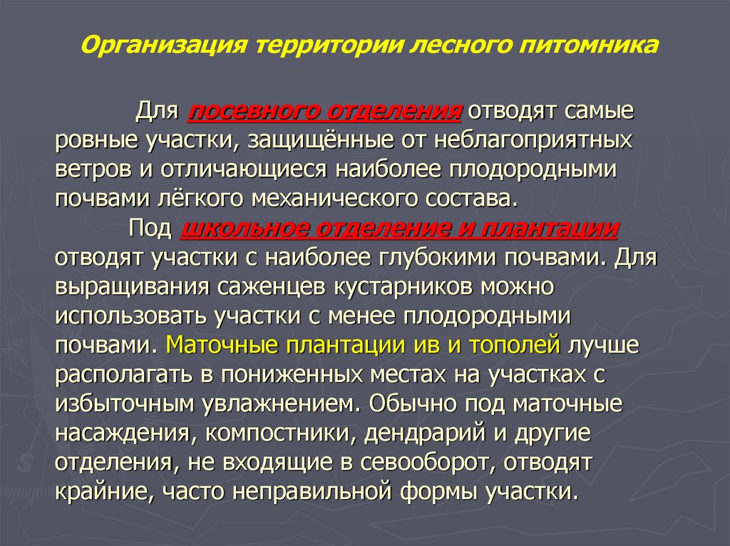 Наиболее отличившиеся. Маточные насаждения.