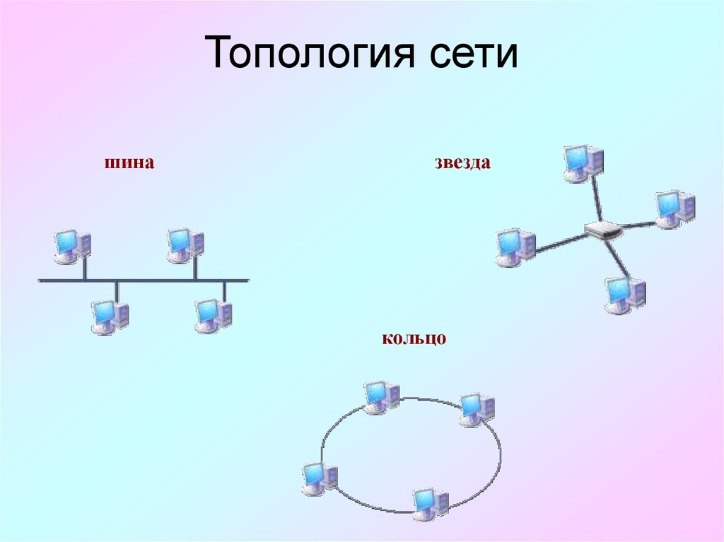 Network вид