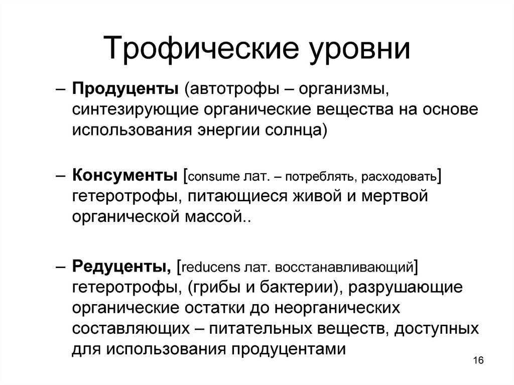 Трофические уровни первый и второй