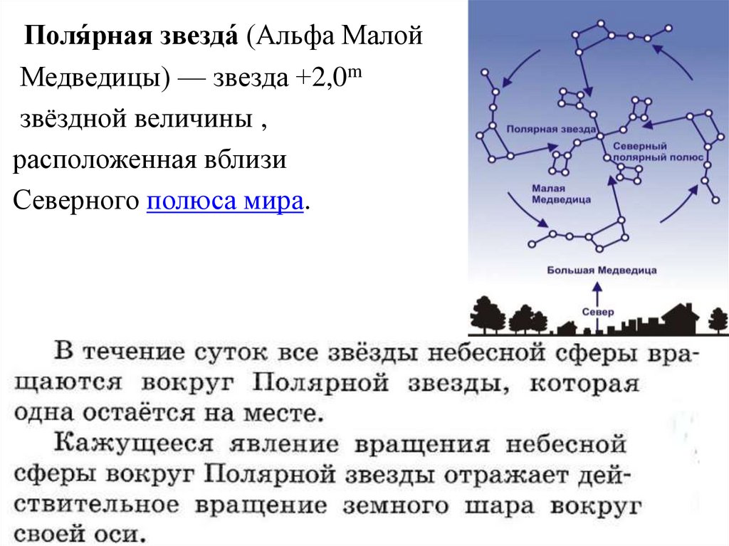 Полярная звезда строение. Полярная звезда Альфа малой медведицы. Полярная звезда на небесной сфере. Звездная величина полярной звезды.