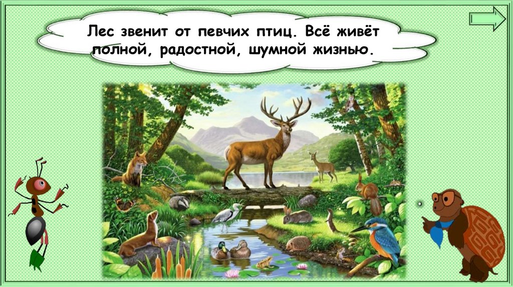 Почему нужно соблюдать тишину в лесу 1 класс презентация