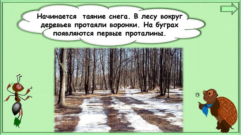 Презентация почему мы будем соблюдать тишину. Таяние снега вокруг деревьев. Почему в лесу надо соблюдать тишину. Презентация почему в лесу нужно соблюдать тишину. Тишина в лесу 1 класс.