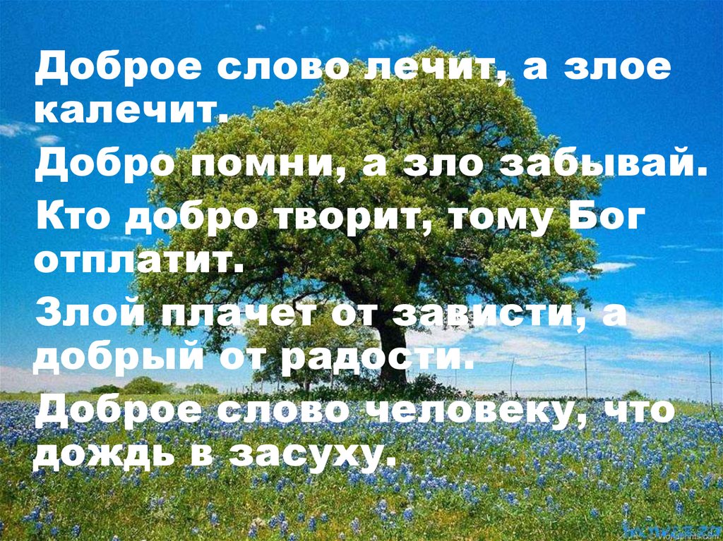 Слово лечит. Доброе слово лечит а Злое калечит. Доброе слово лечит. Добро Помни а зло забывай. Кто за добро воздаёт злом.