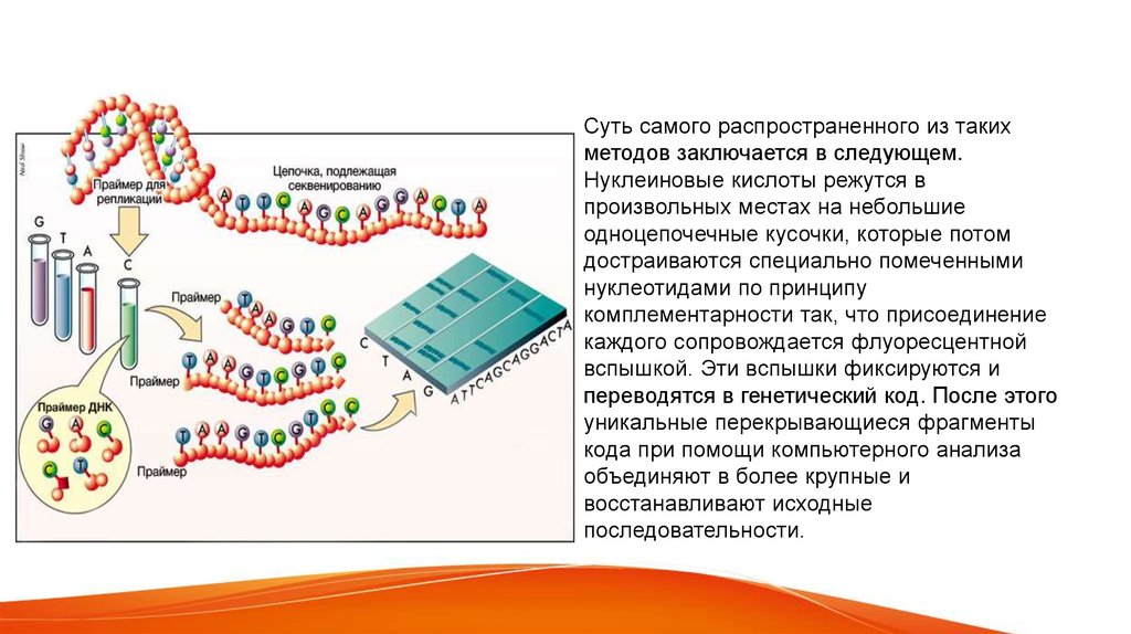 Рнк исследования. Секвенирование РНК. Секвенирование белка. Схема взаимосвязи между процессами ДНК ИРНК белок. Анализ РНК секвенирования схема.