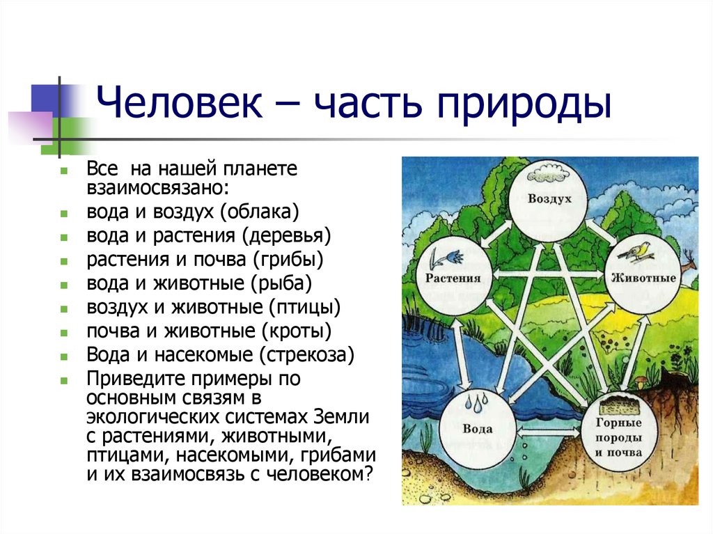 Система человек природа. Человек часть природы. Человек составная часть природы. Рассказ человек часть природы. Доклад человек часть природы.