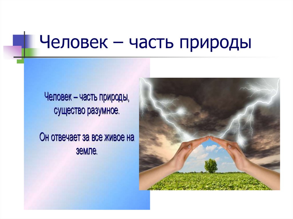 Связь природы и человека 2 класс. Человек часть природы. Человек часть живой природы. Человек разумный часть природы. Человек часть природы презентация.