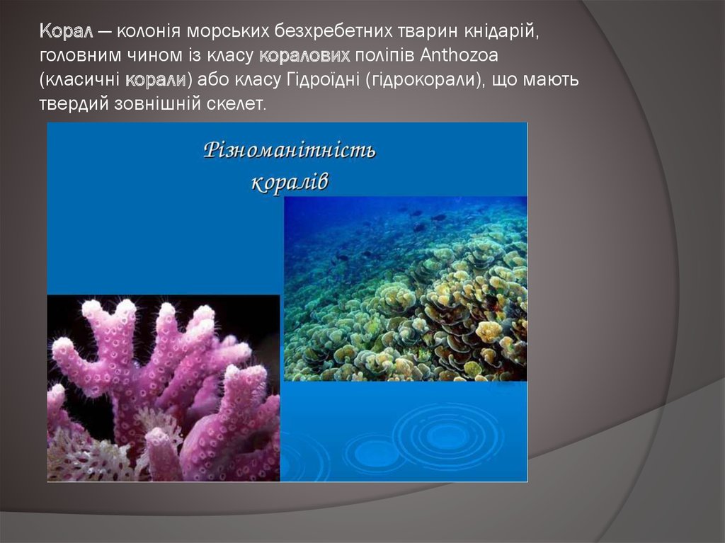 Montagem coral музыка. Рассасывание Корал. Сообщение о коралиуине. Корал потребитель в биологии. Высота коралов вскрамнрм море.