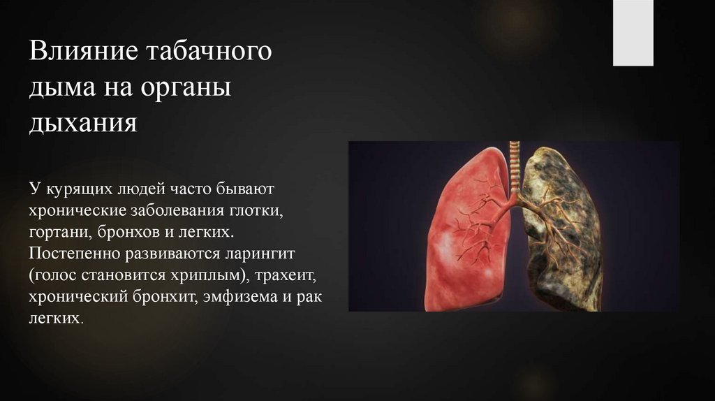 Влияние табачного дыма на органы дыхания