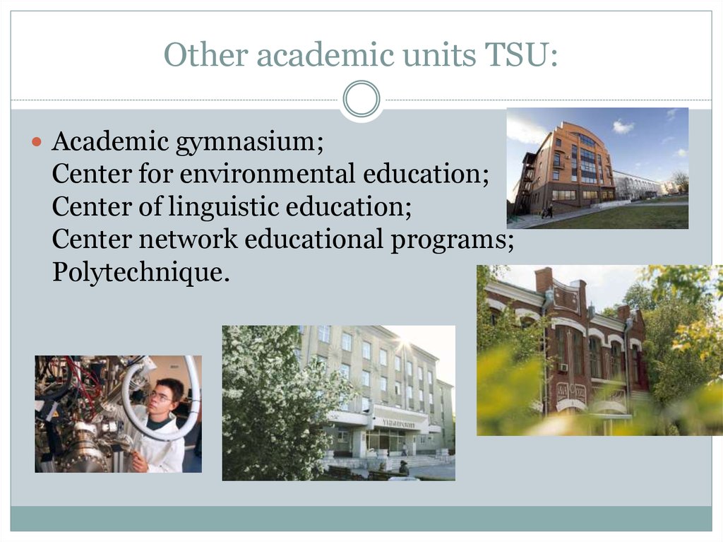 Other academic units TSU: