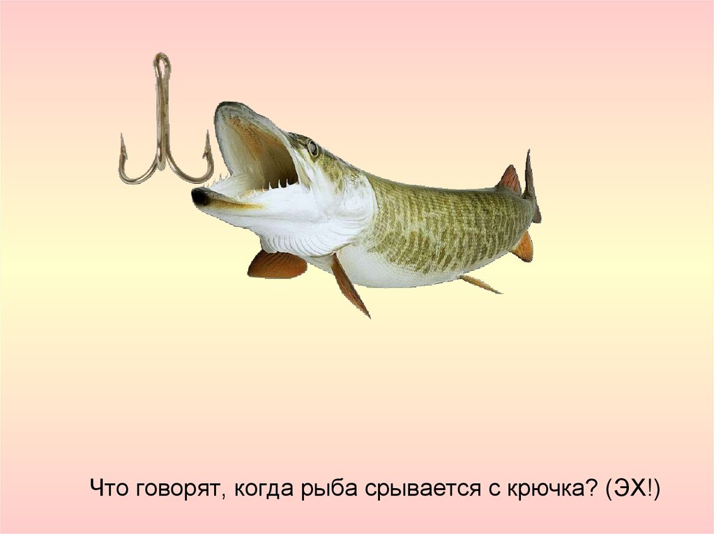 Что говорят, когда рыба срывается с крючка? (ЭХ!)