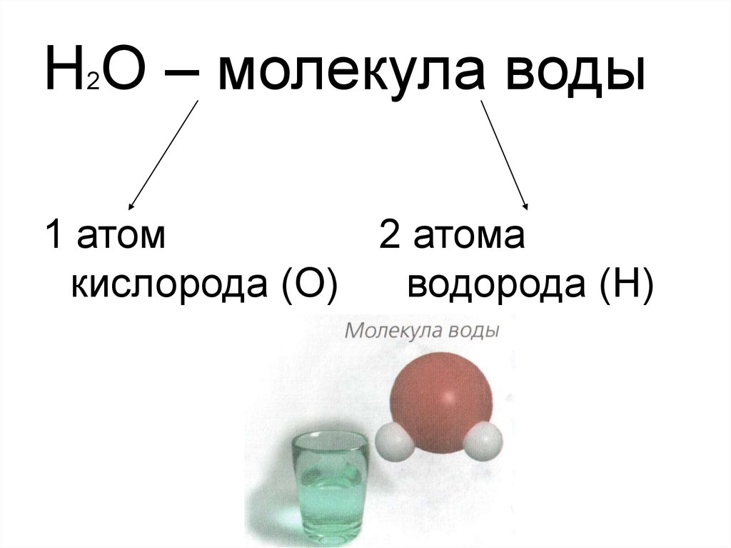 Состав молекулы 4. Атомы молекулы воды. Частицы молекулы воды. Молекула н2о. 2 Молекулы воды.