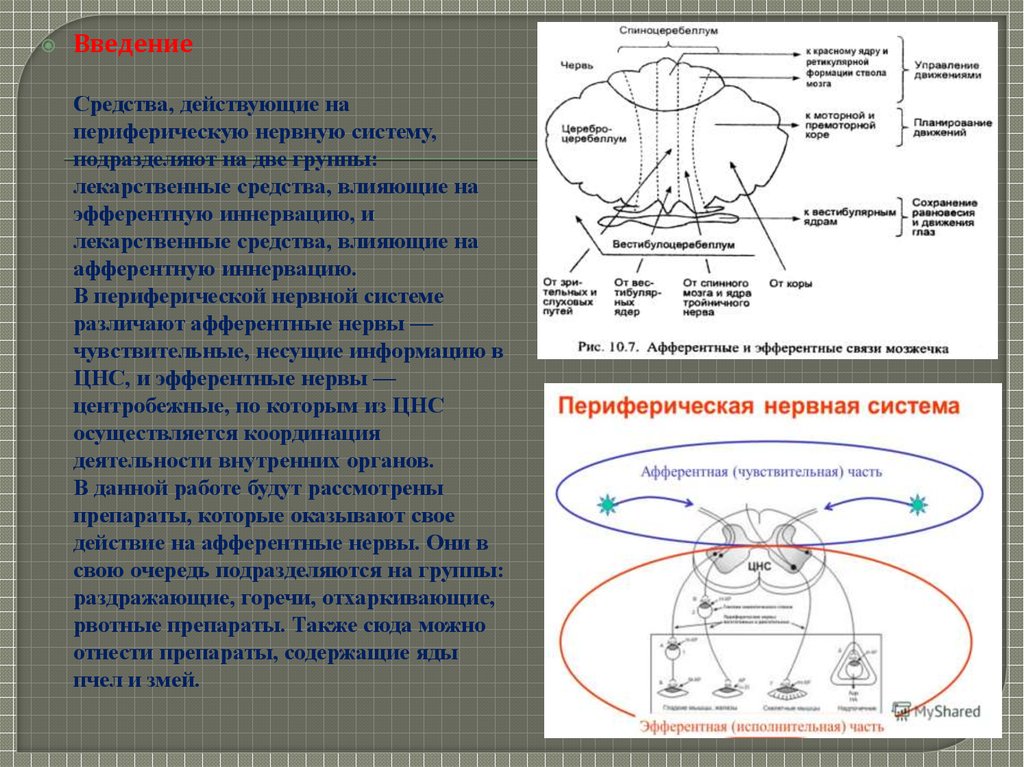 Средства влияющие на афферентную иннервацию фармакология презентация