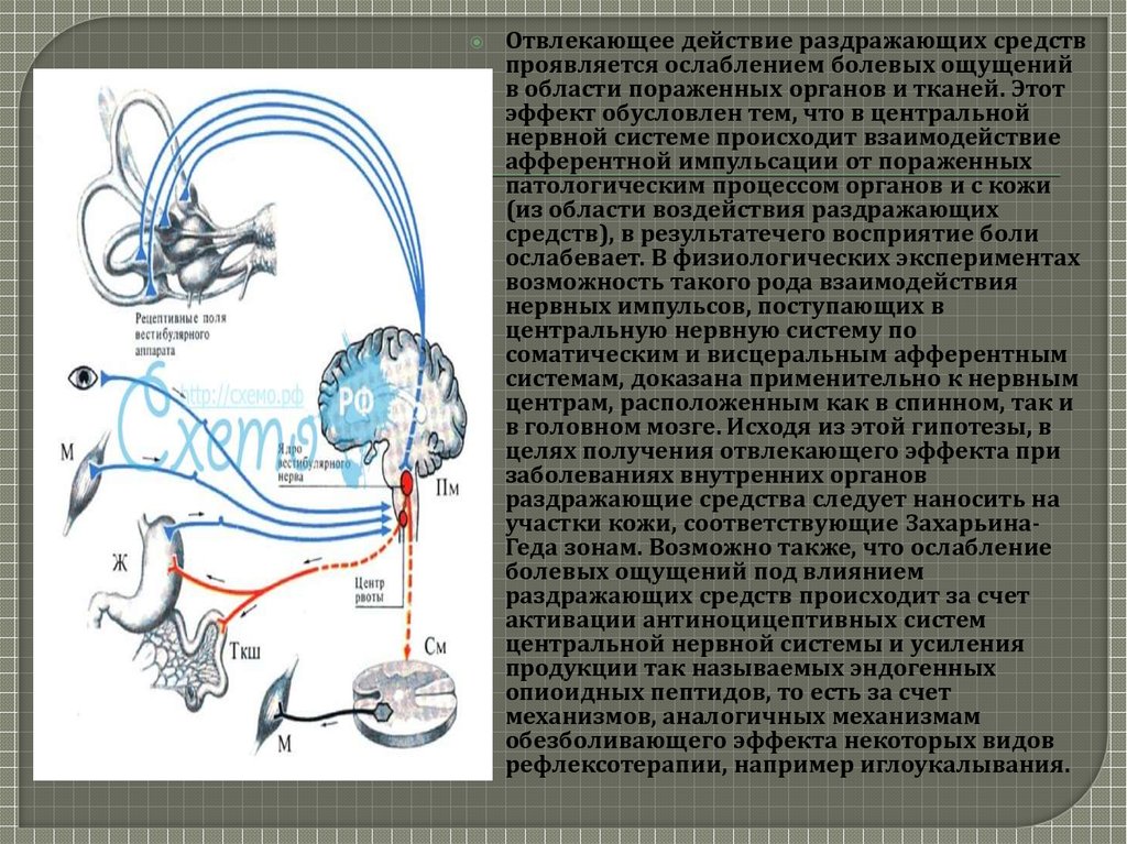 Средства влияющие на афферентную иннервацию фармакология презентация