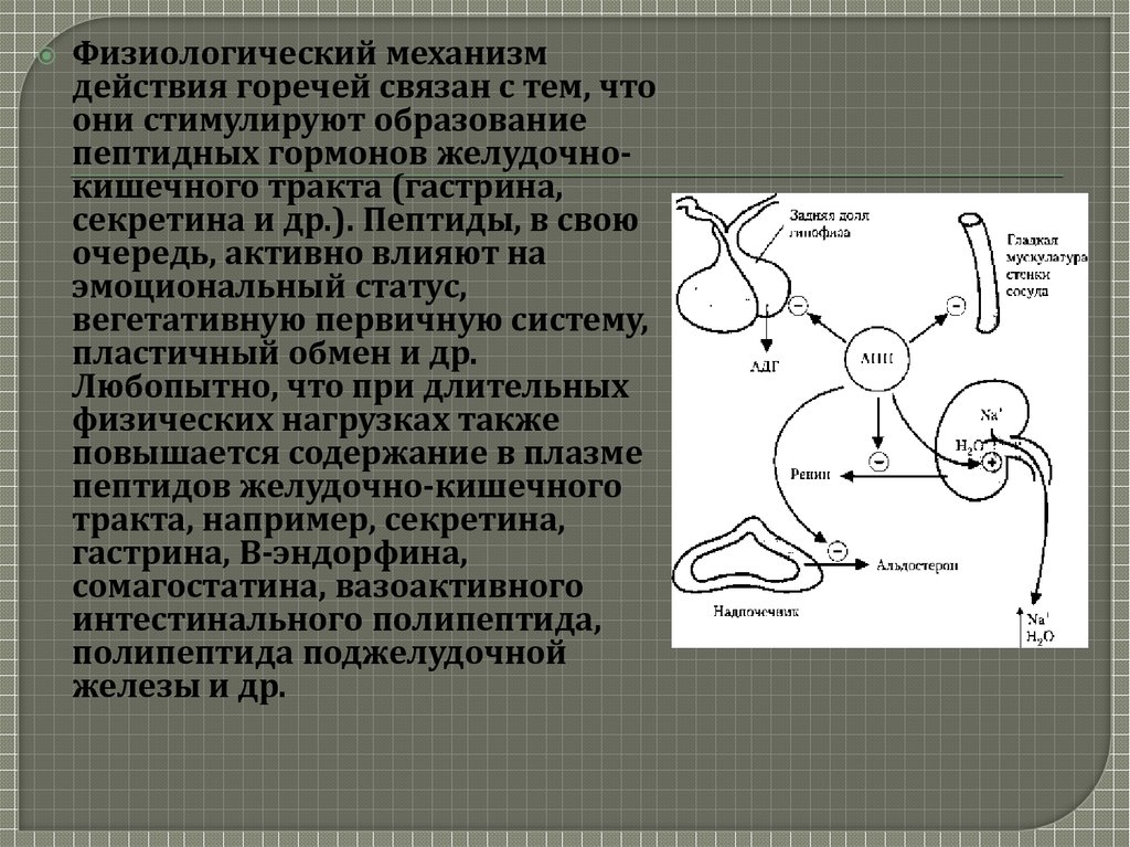 Средства влияющие на афферентную иннервацию фармакология презентация