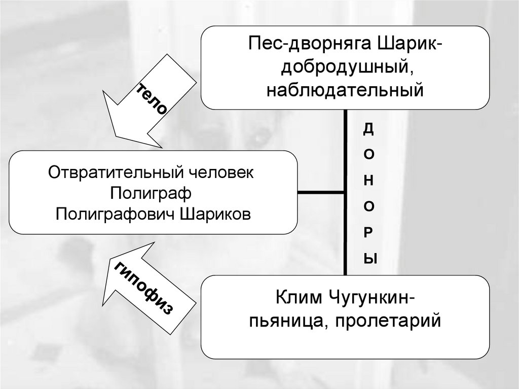 Собачье сердце аргументы. Собачье сердце схема. Система образов Собачье сердце. Собачье сердце кластер. Кластер по повести Собачье сердце Булгакова.