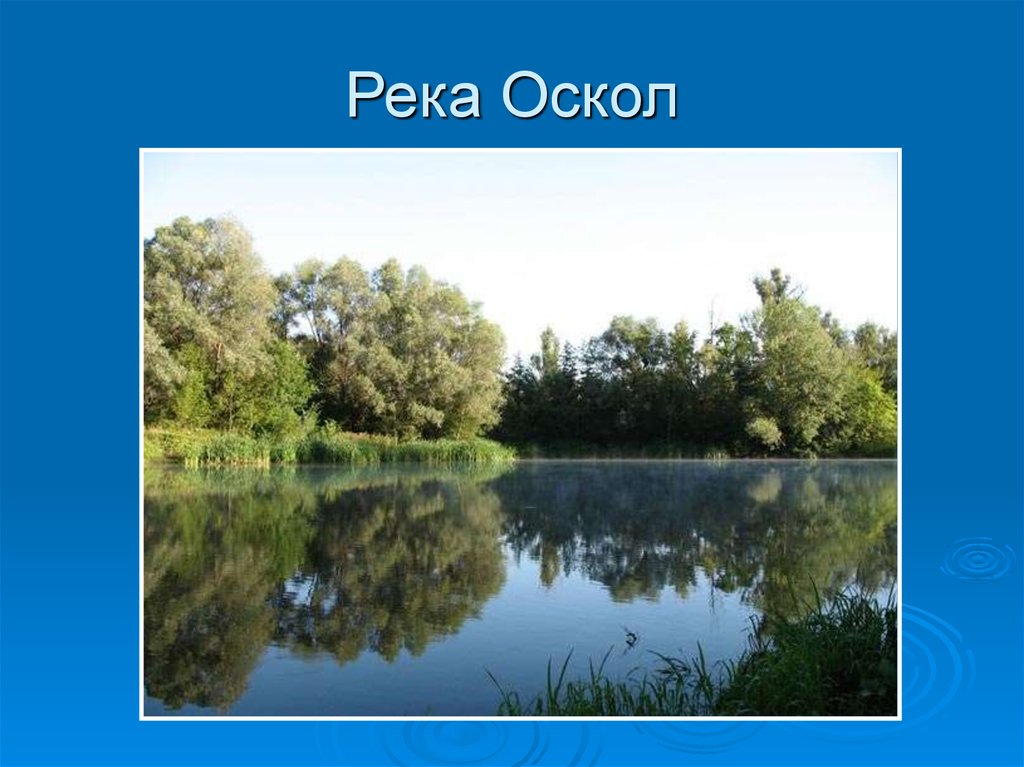 Притоки оскола. Оскол река Белгородского края. Окружающий мир река Оскол.