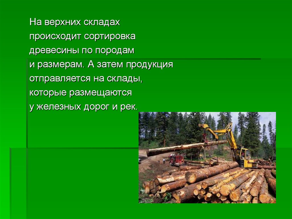 Лесной комплекс тесты. Верхний Нижний склад древесины. Нижний склад лесоматериалов. Верхний склад лесоматериалов это. Нижний склад заготовки древесины.