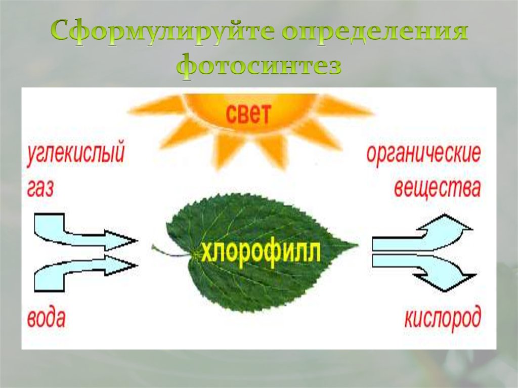 Схема процесса фотосинтеза рисунок. Фотосинтез растений. Воздушное питание растений фотосинтез 6. Биология 6 класс воздушное питание фотосинтез. Воздушное питание схема фотосинтеза.