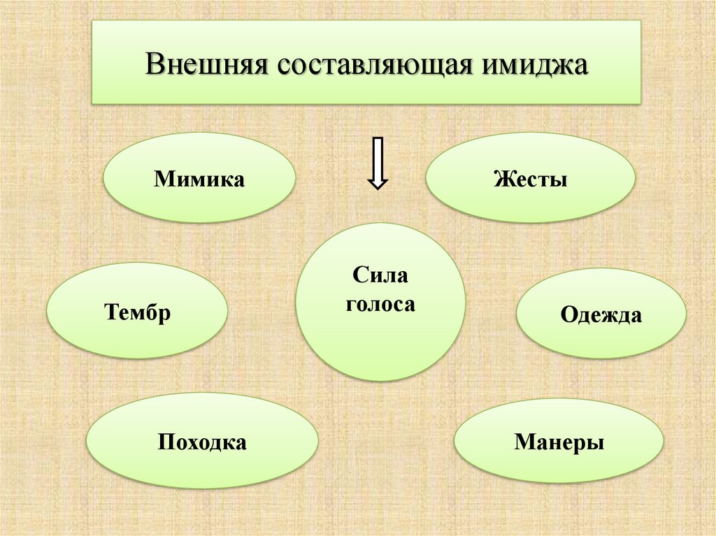 Внешне составляющая. Внешняя составляющая имиджа. Внешние составляющие. Внешнее составляющее. Внешняя составляющая человека.