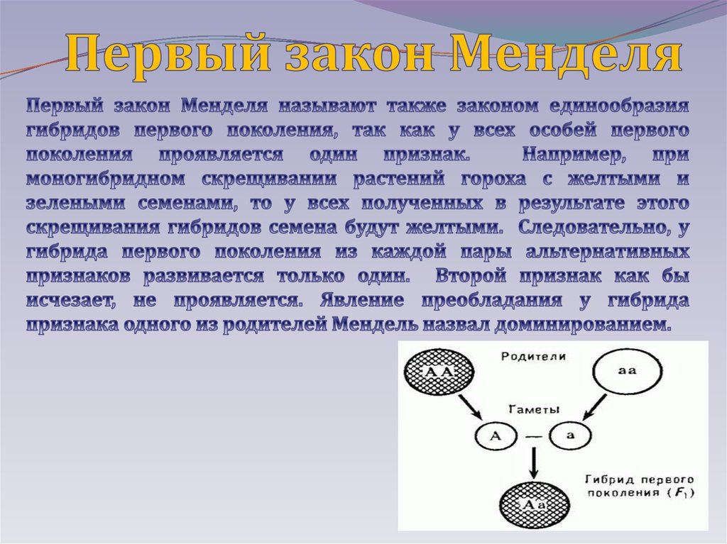 Взаимодействие генотипа и среды презентация