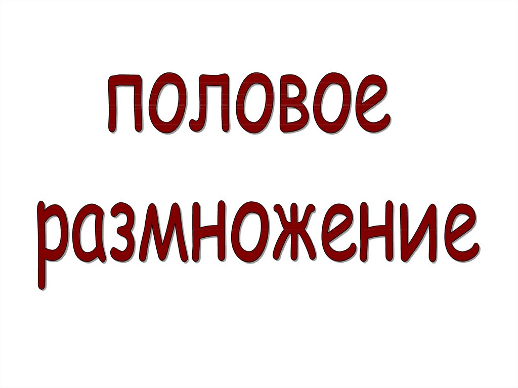 Презентация размножение человека