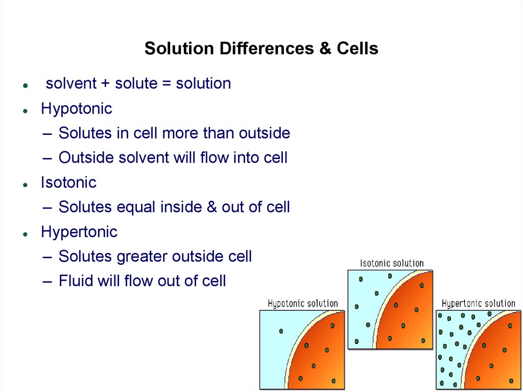 Solution Differences & Cells