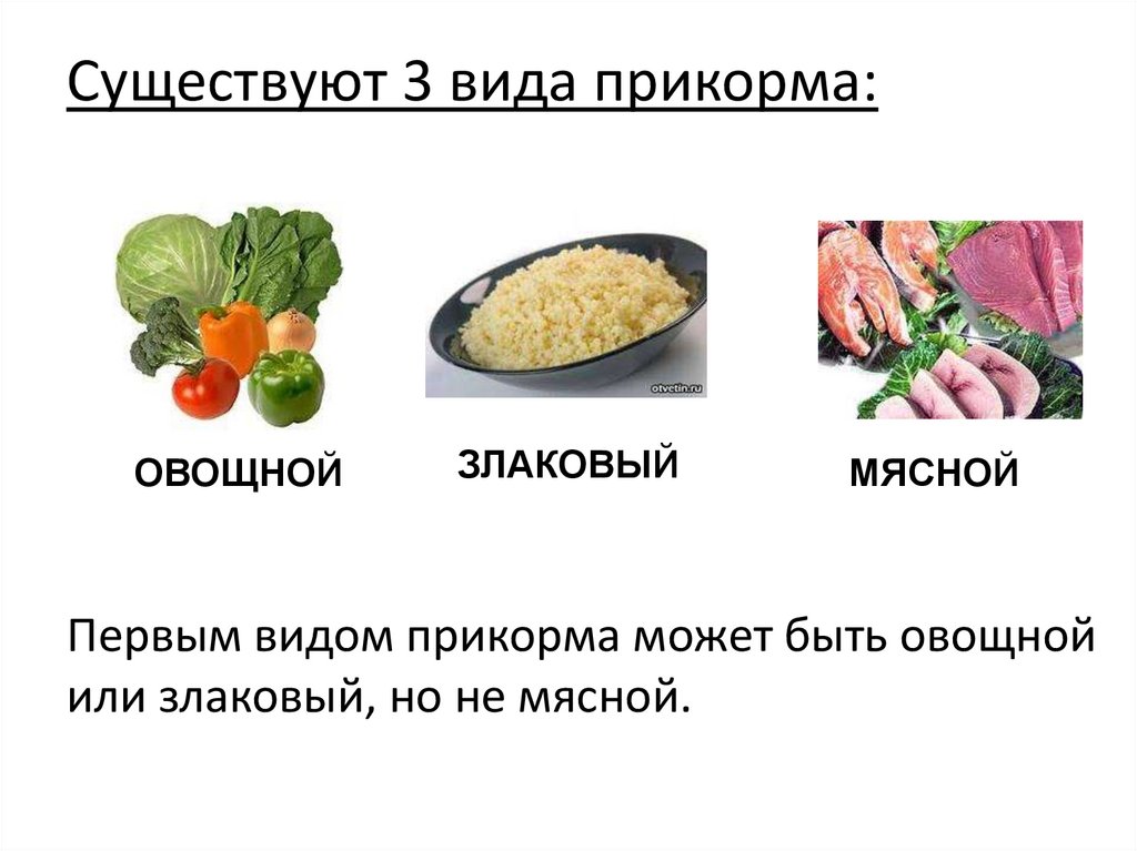 Существуют 3 вида прикорма: Первым видом прикорма может быть овощной или злаковый, но не мясной.